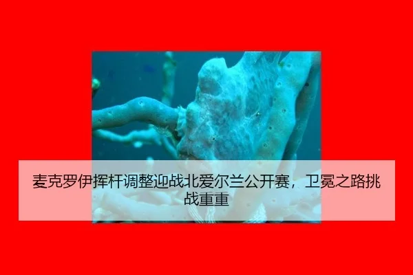 mai-ke-luo-yi-hui-gan-tiao-zheng-ying-zhan-bei-ai-er-lan-gong-kai-sai-wei-mian-zhi-lu-tiao-zhan-chong-chong-2-833.jpg