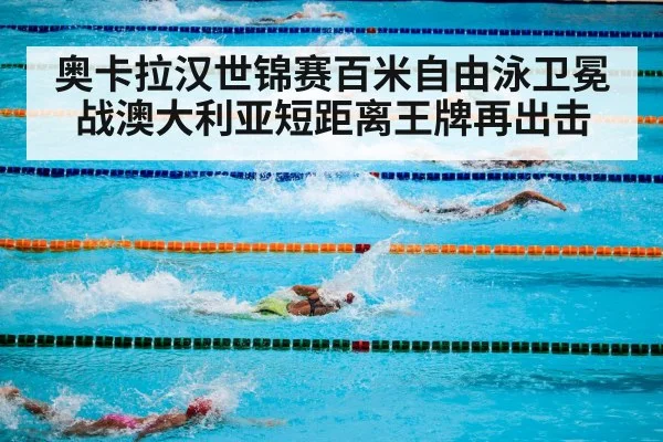 swimming competition pool